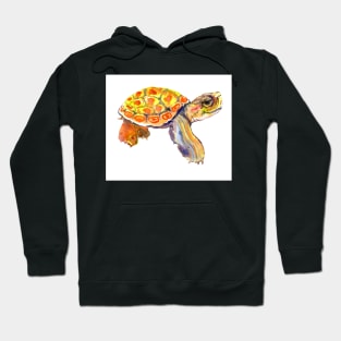 Orange Cute Turtle Hoodie